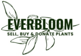 buy indoor plants, sell plants, exchange plants